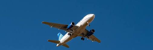 10–13 🕊️ banner