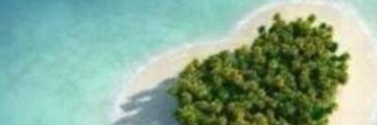 sally_c86's profile banner image