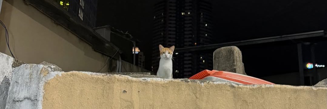 มอชอพอ🫩 banner