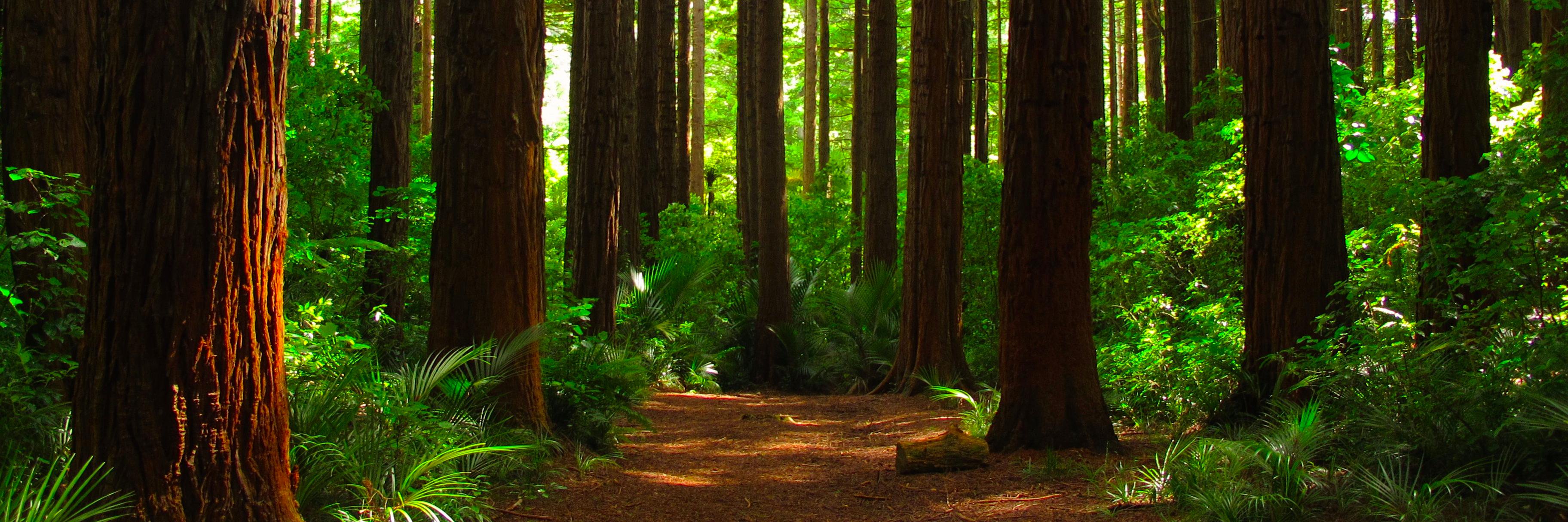 Understanding Evolution Group (@UnderstandEvo) / Posts / X