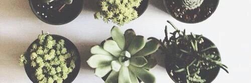 kingnjh's profile banner image