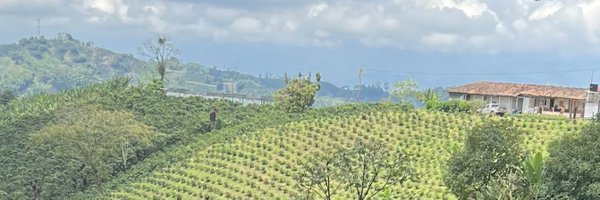 linamariaarango Profile Banner