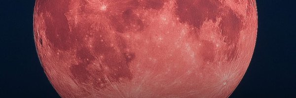 Coach_Isme Profile Banner