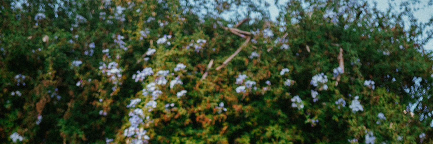 itspapabob's profile banner image