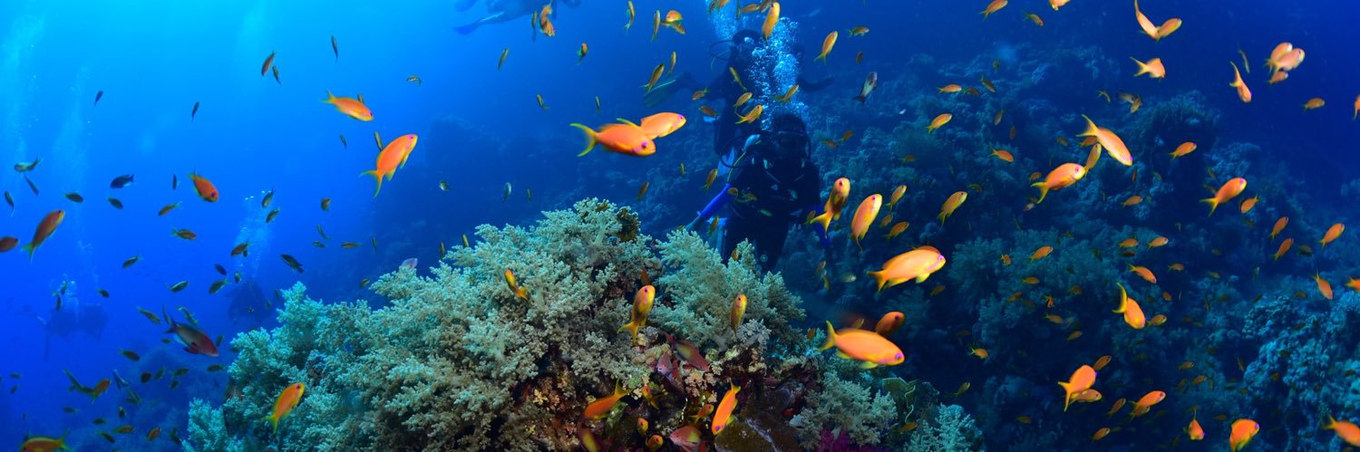 Shauna Aminath 🎈❓ banner