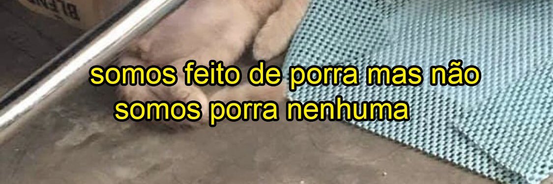 WagFaustino's profile banner image