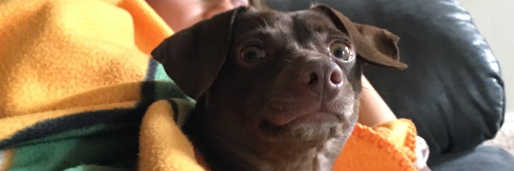 GarrettPelican's profile banner image