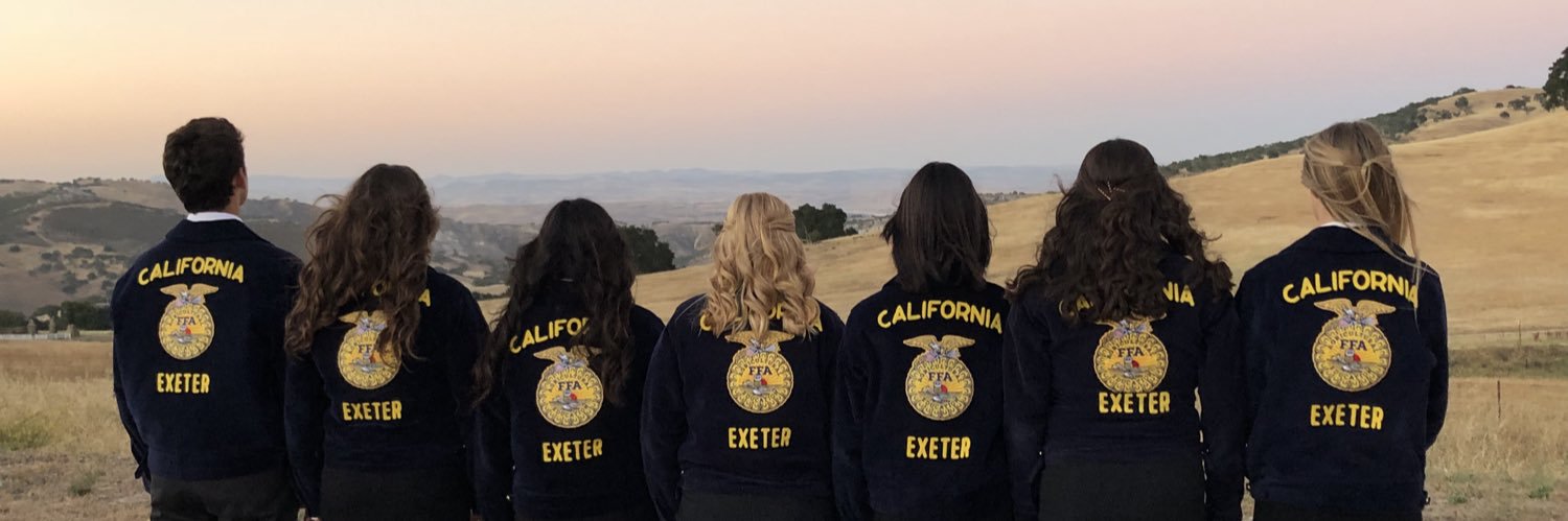 exeterffa's profile banner image