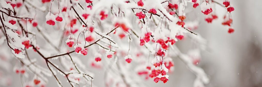 Robertodvv's profile banner image
