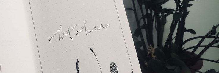 seanyall_'s profile banner image