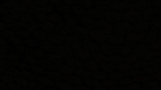 Warmlight_Zz's profile banner image