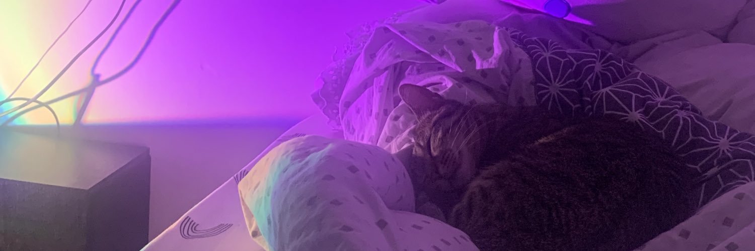 magicaldidi's profile banner image