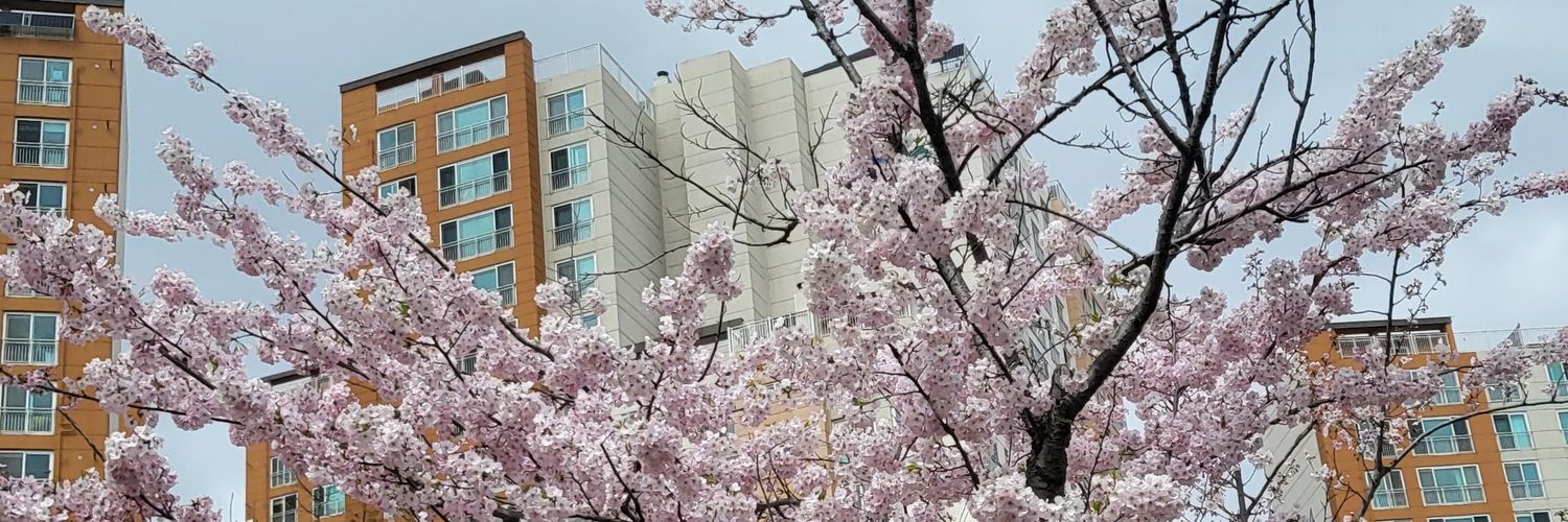 Bev⁷ 💜 banner