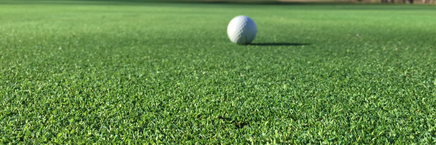 BirkdaleGC's profile banner image