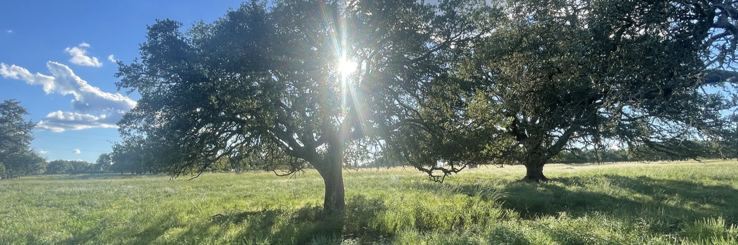 WestTXWhit's profile banner image