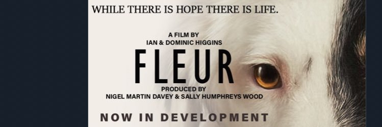 #FilmFleur banner