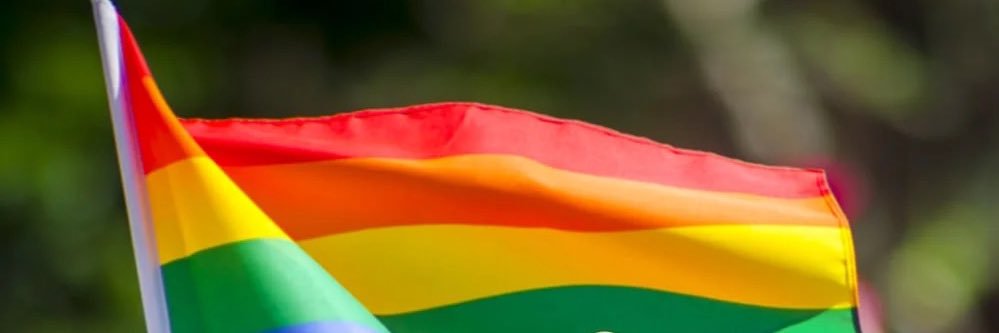 cllr Dayley Lawrence banner