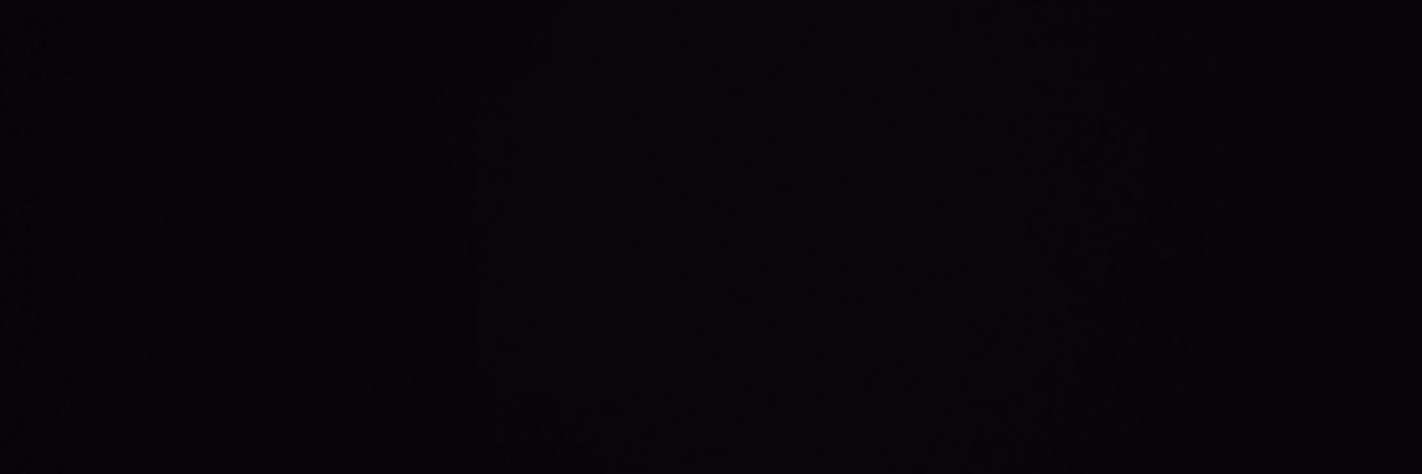Dani Pavon banner