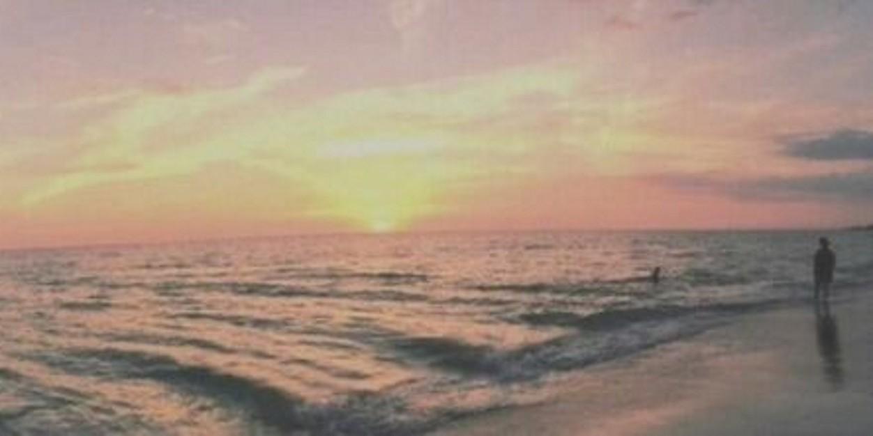 dmtrdvnnL's profile banner image