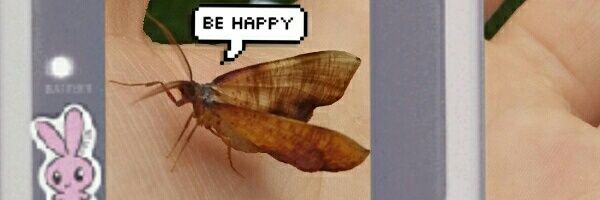 •°☆*fruchtzwerg •°☆*° (stargaze spoilers) banner