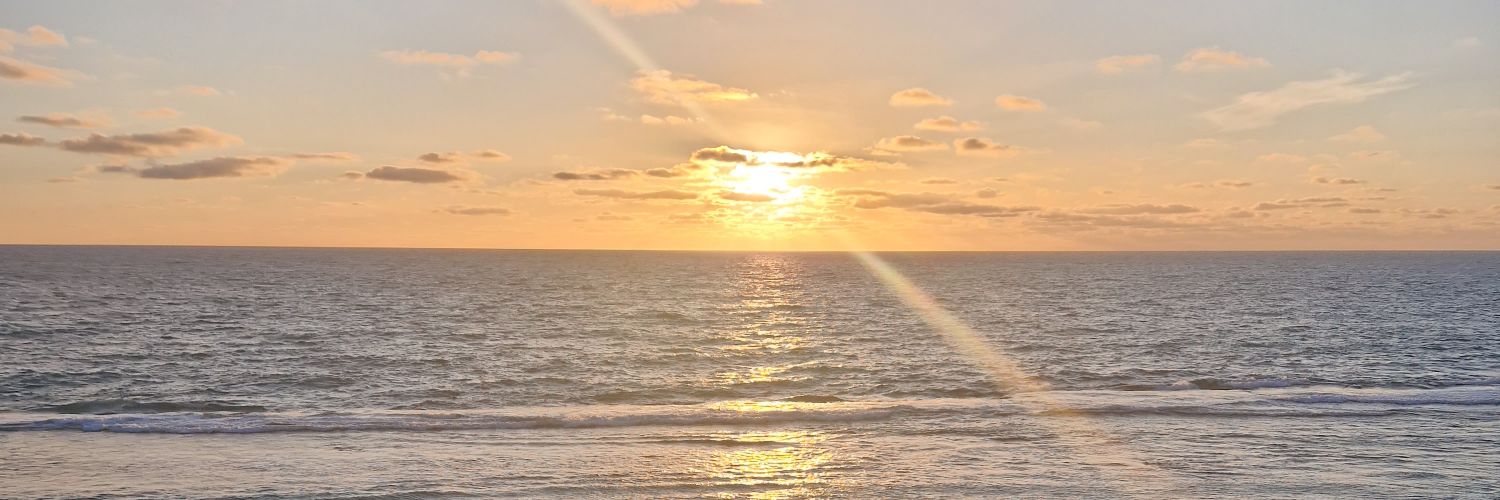 🌙 Abi ✨️ banner