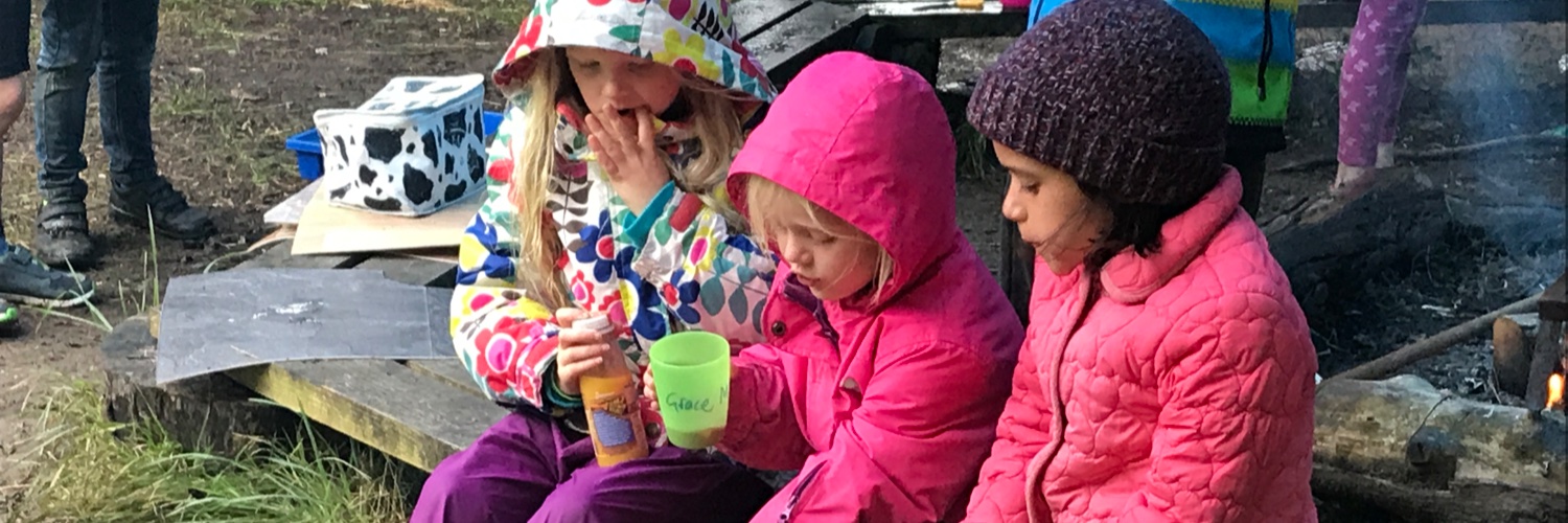 Play Learning Life CIC banner