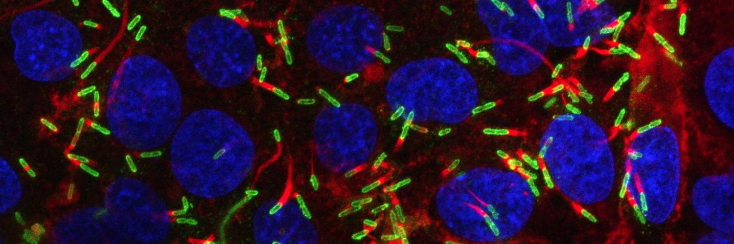 Sam Willcocks banner