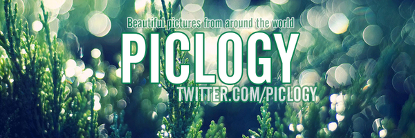 Piclogy Profile Banner