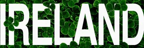 Irish Examiner USA banner