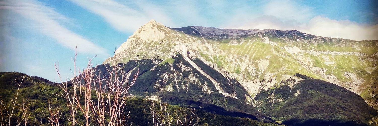 FabianiCesare's profile banner image