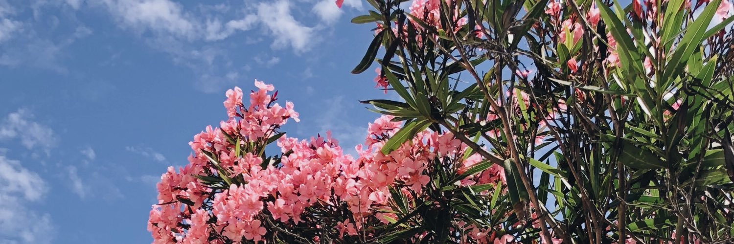 gracejiwonkim's profile banner image