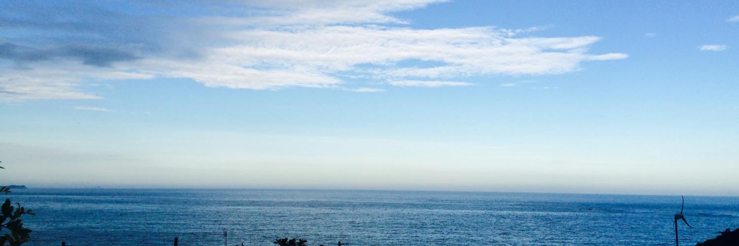 Evlyn Marques banner