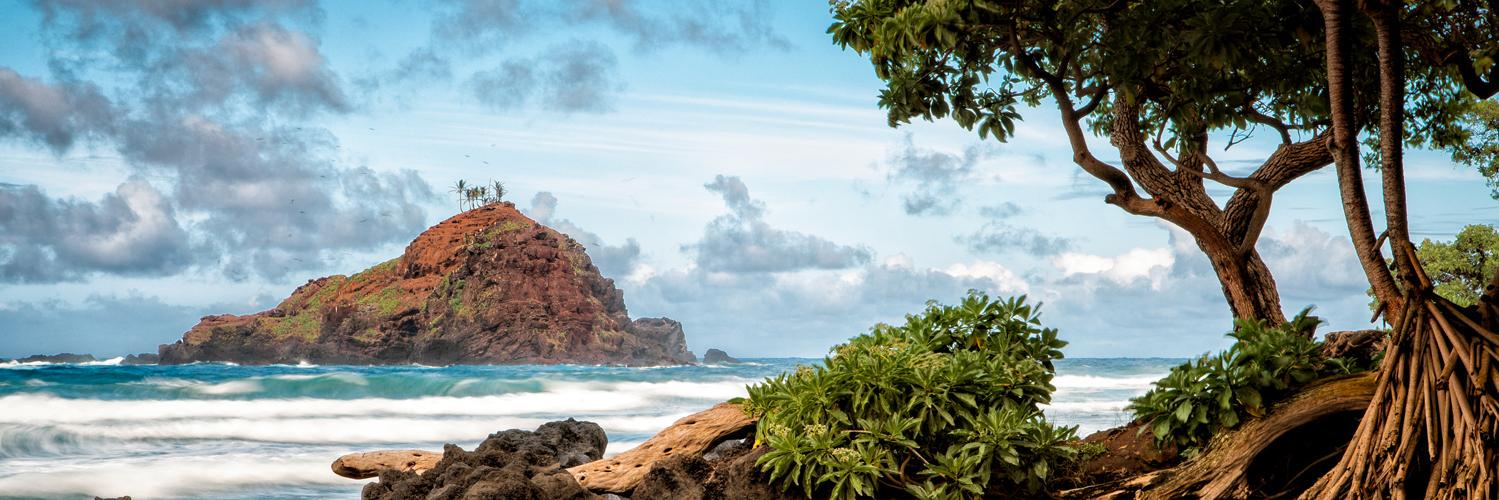 CoconutClubV's profile banner image