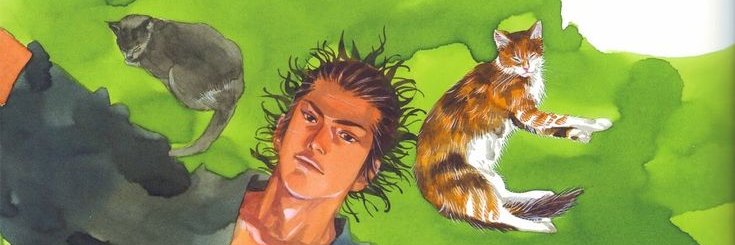 MaruView's profile banner image