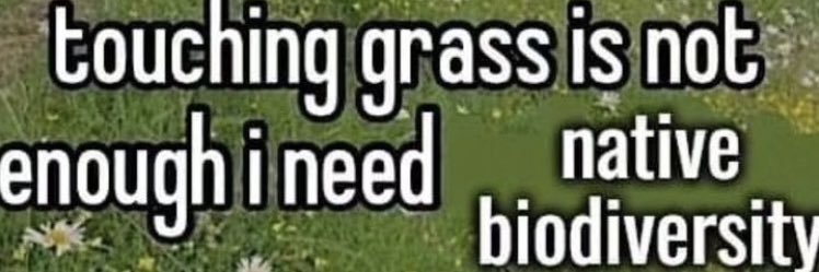 kate__smash's profile banner image