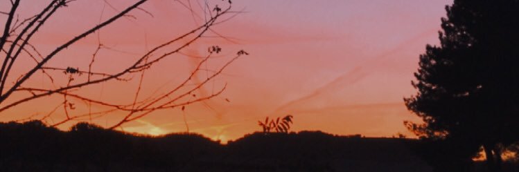 elsa_suuk4's profile banner image
