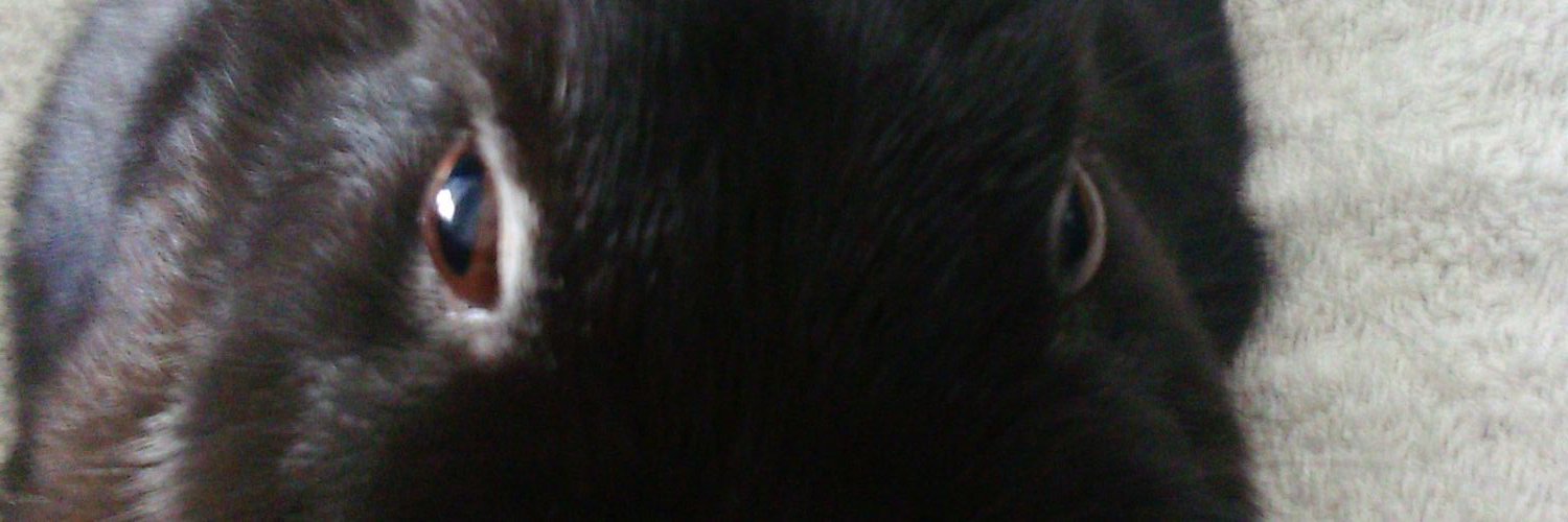 _danielblandon's profile banner image