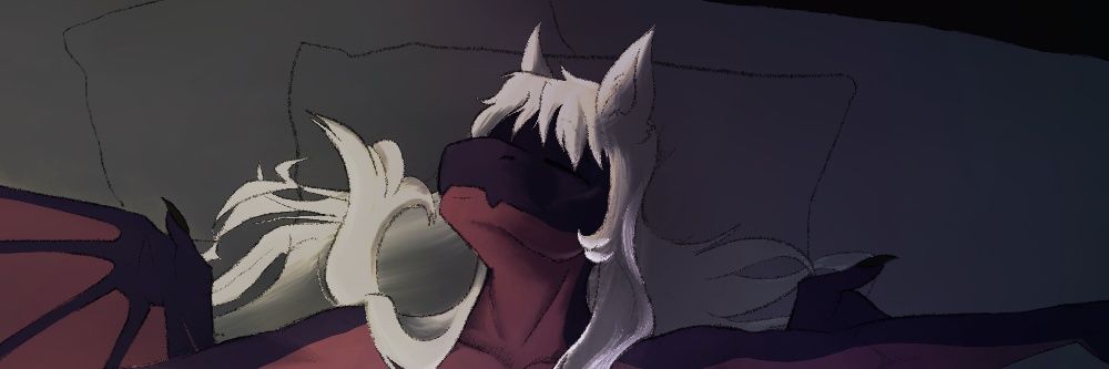 Echo_Captil's profile banner image