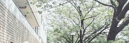 _N__0101's profile banner image