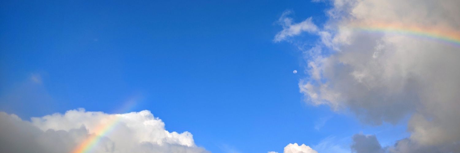 desertmint's profile banner image