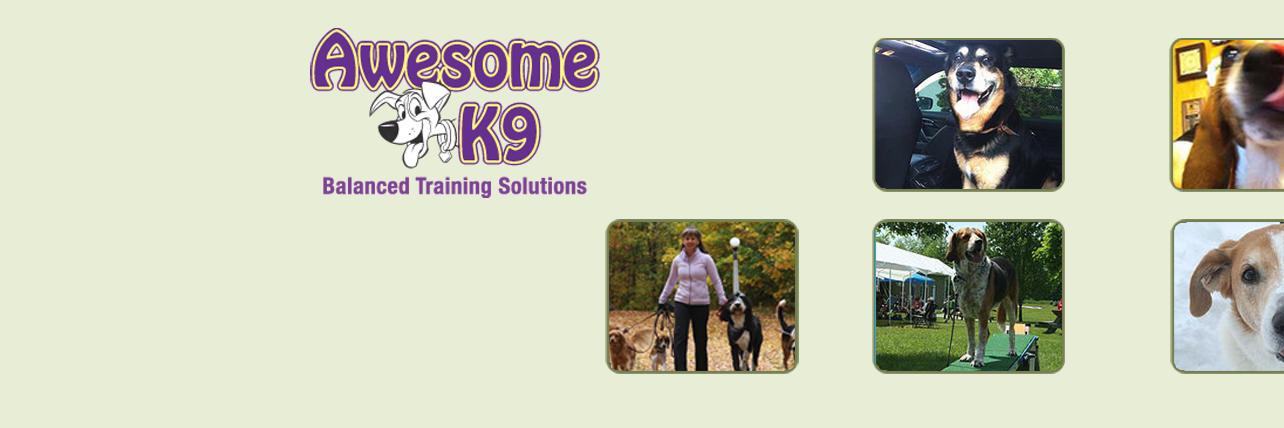 awesomek9's profile banner image