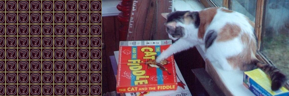 Lincoln Taylor banner