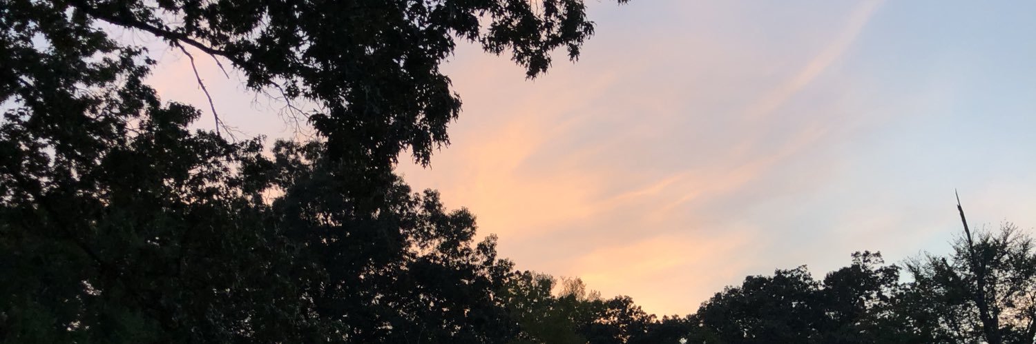 grsldflores's profile banner image