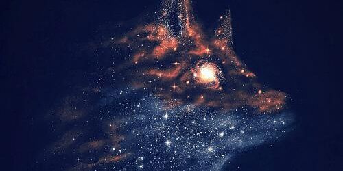 Eavan_C_HWS2's profile banner image