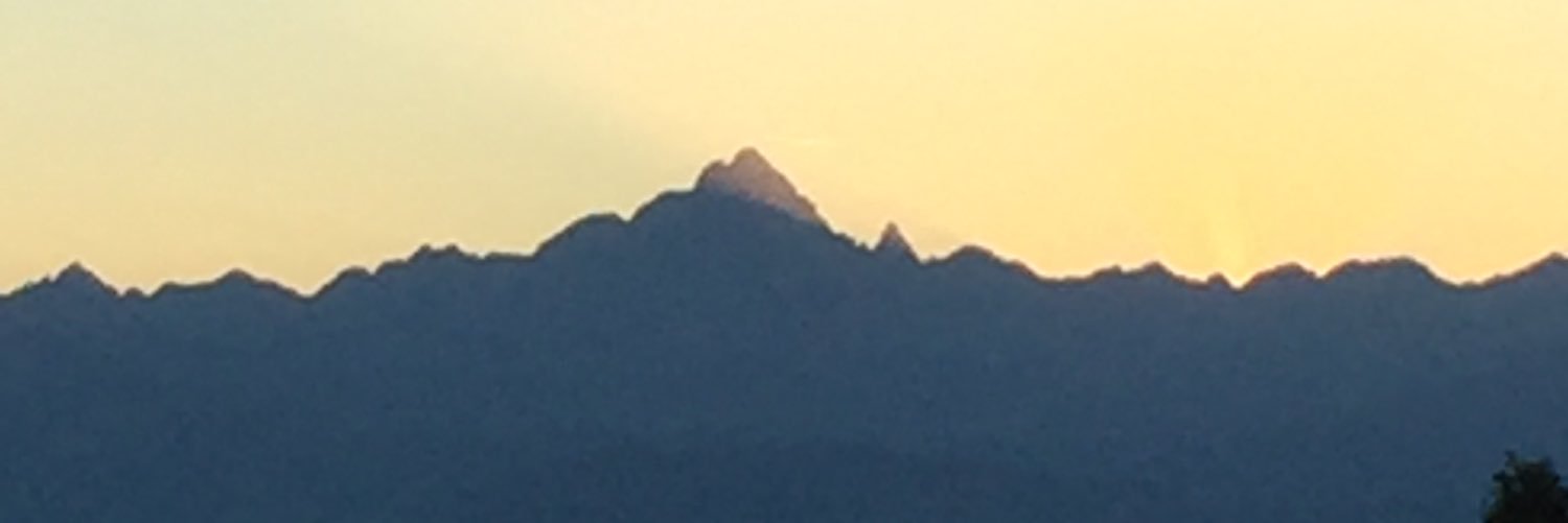 PBuio's profile banner image