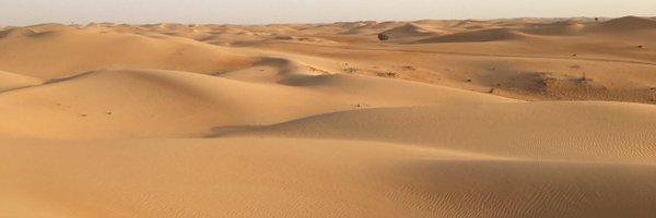 SibillaDG Profile Banner