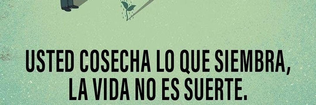 Adriana banner