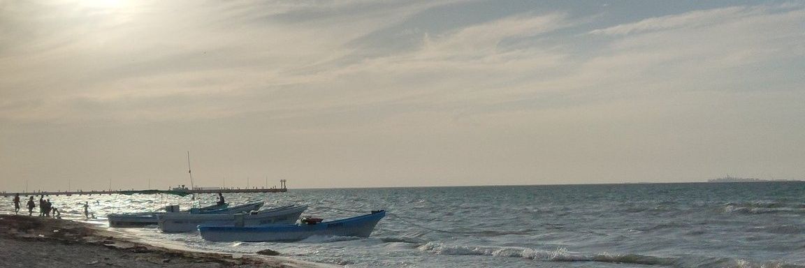 RobertoSimonSal's profile banner image