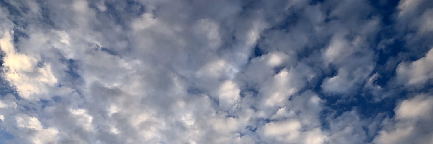 lizbethandreaml's profile banner image