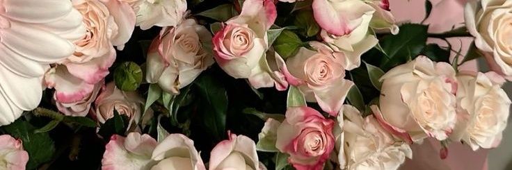 areej_14197's profile banner image